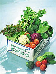 通い箱梱包事例